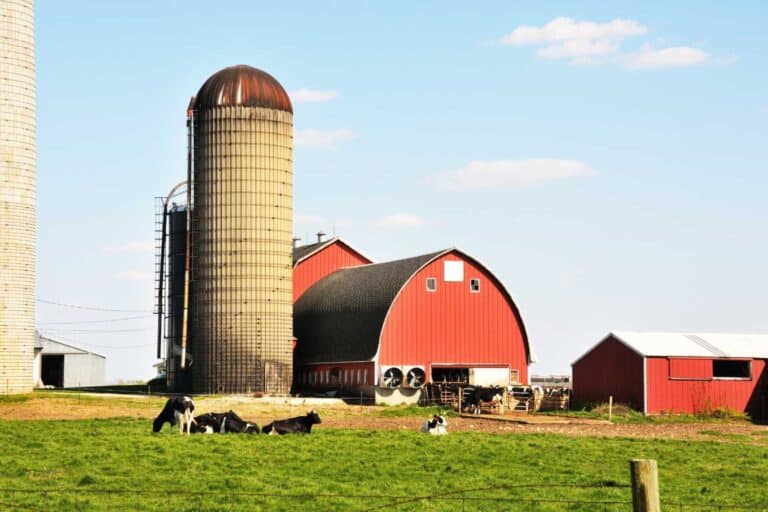vente direct producteur autour de moi 1